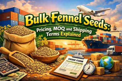 Bulk Fennel Seeds: Pricing, MOQ, and Shipping Terms Explained