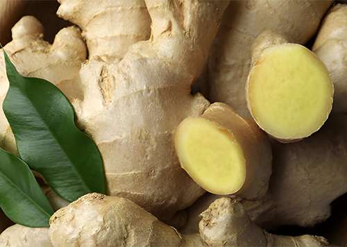 Building Global Trust Through Quality Agricultural Products