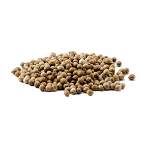 Coriander seeds