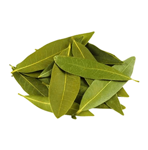 Bay Leaves