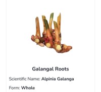 Galangal Roots