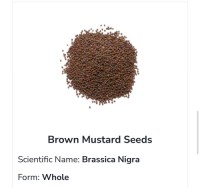 Brown Mustard Seeds