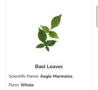 Bael Leaves
