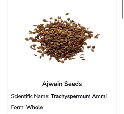 Premium Quality Ajwain Seeds Spice for Enhanced Flavor and Wellness