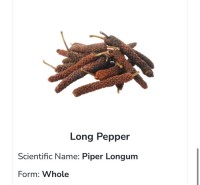 Long Pepper
