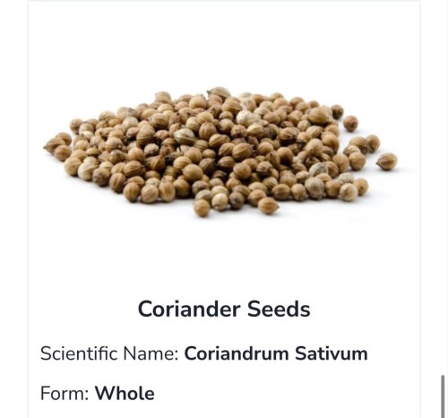 Organic Coriander Seeds for Fresh Culinary Flavor