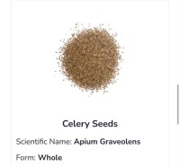 Celery Seeds