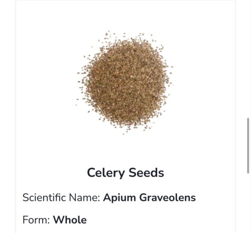 Celery Seeds