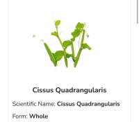 Cissus Quadrangularis