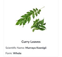 Curry Leaves