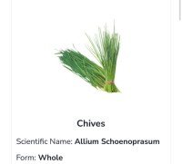 Chives