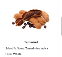 Tamarind