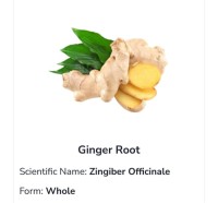 Ginger Root