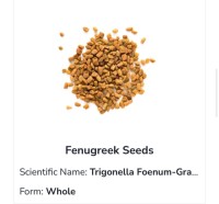 Fenugreek Seeds